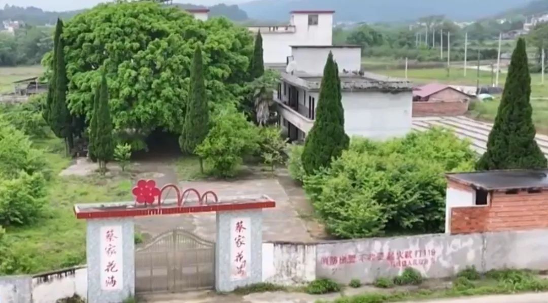 “央视编导”落网！