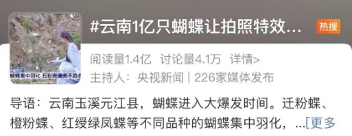 这一幕奇观冲上热搜!上亿只蝴蝶齐飞,真的不是特效... 这一幕奇观冲上热搜!上亿只蝴蝶齐飞,真的不是特效...