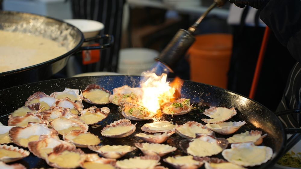 在悉尼海港感受法国风情