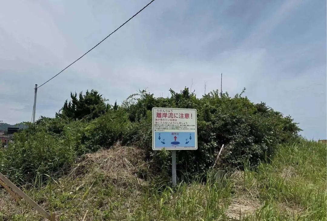 20岁中国女游客抱着救生圈在日本海上漂了一天一夜后获救！细节曝光