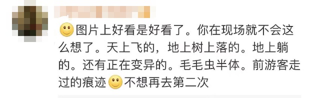 这一幕奇观冲上热搜!上亿只蝴蝶齐飞,真的不是特效... 这一幕奇观冲上热搜!上亿只蝴蝶齐飞,真的不是特效...