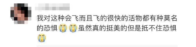 这一幕奇观冲上热搜!上亿只蝴蝶齐飞,真的不是特效... 这一幕奇观冲上热搜!上亿只蝴蝶齐飞,真的不是特效...