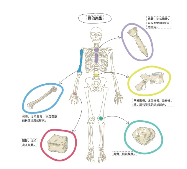 蝌学荐书 | 如果你也为理科学习所困扰，这套帮助数百万人的图解学科系列一定要看！