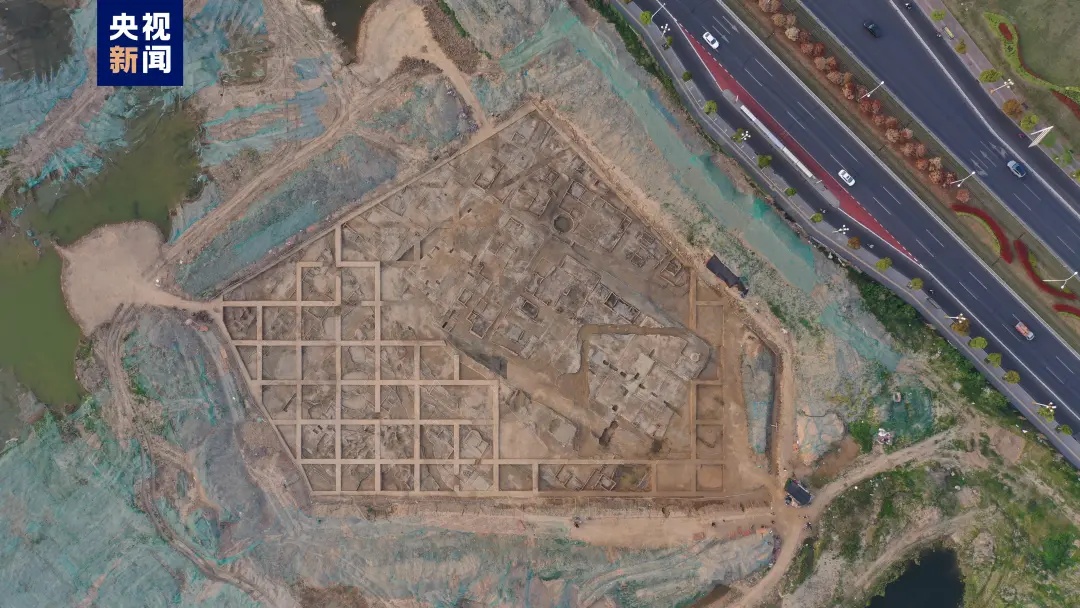 浙江一地,重大发现! 浙江一地,重大发现!