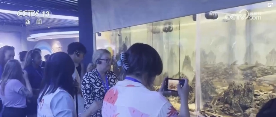 眼见为实，感知中国！美国青少年感叹，很酷！很美！