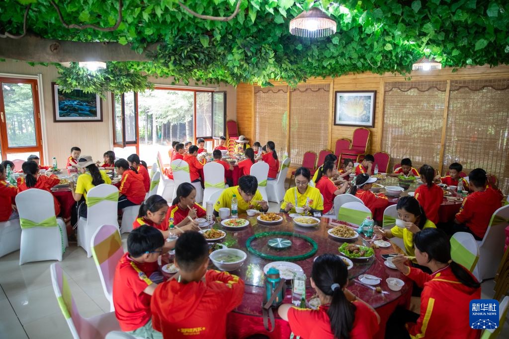 以林兴旅 “中国林都”迎来夏季旅游高峰 以林兴旅 “中国林都”迎来夏季旅游高峰