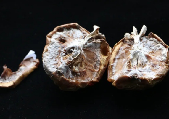 梅雨不断,苹果里长出了蘑菇?有人求购后尝了一口... 梅雨不断,苹果里长出了蘑菇?有人求购后尝了一口...