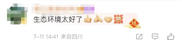 这一幕奇观冲上热搜!上亿只蝴蝶齐飞,真的不是特效... 这一幕奇观冲上热搜!上亿只蝴蝶齐飞,真的不是特效...