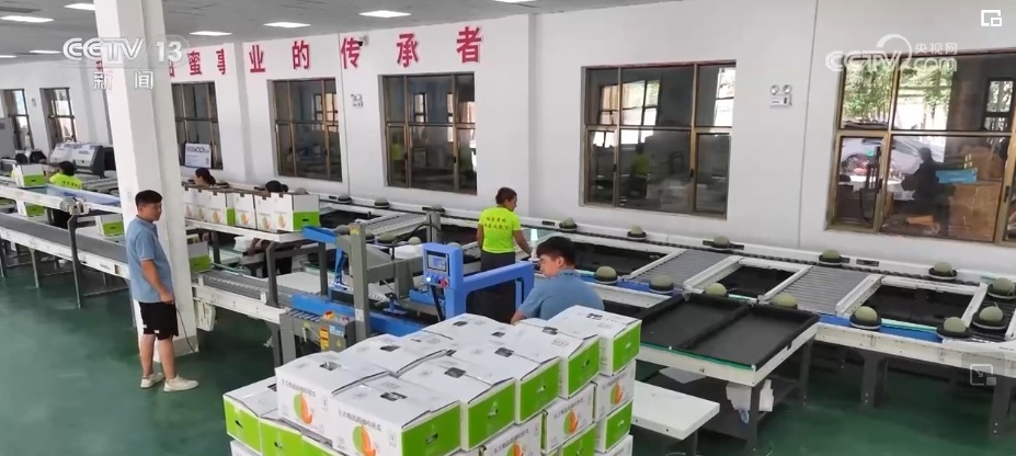 一座城千条巷 历史文化遗产“串珠成链”小城展“新颜”