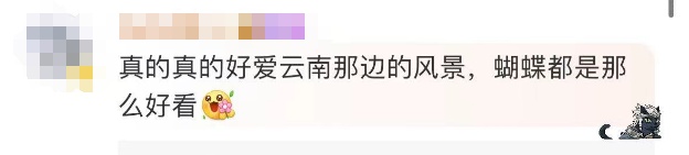 这一幕奇观冲上热搜!上亿只蝴蝶齐飞,真的不是特效... 这一幕奇观冲上热搜!上亿只蝴蝶齐飞,真的不是特效...