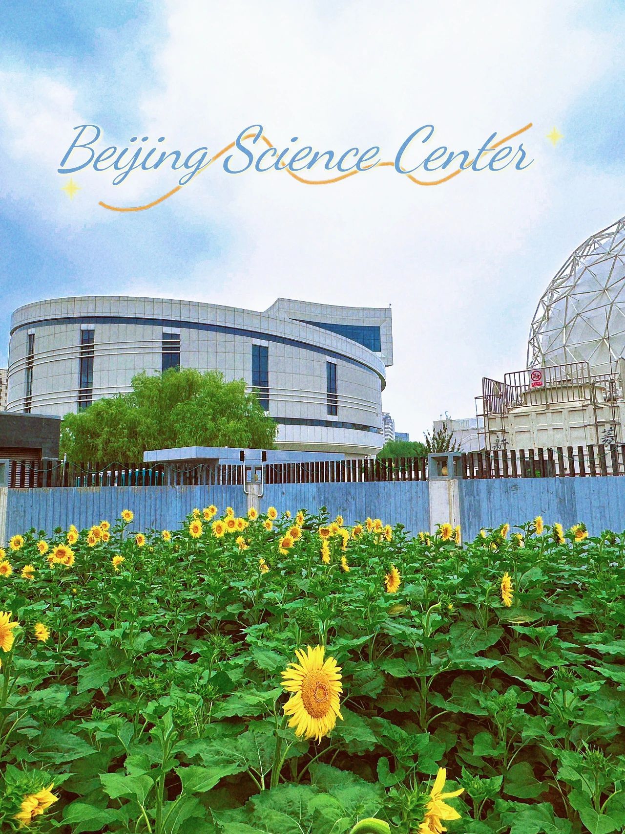 镜头下的北京科学中心 | 向日葵 镜头下的北京科学中心 | 向日葵