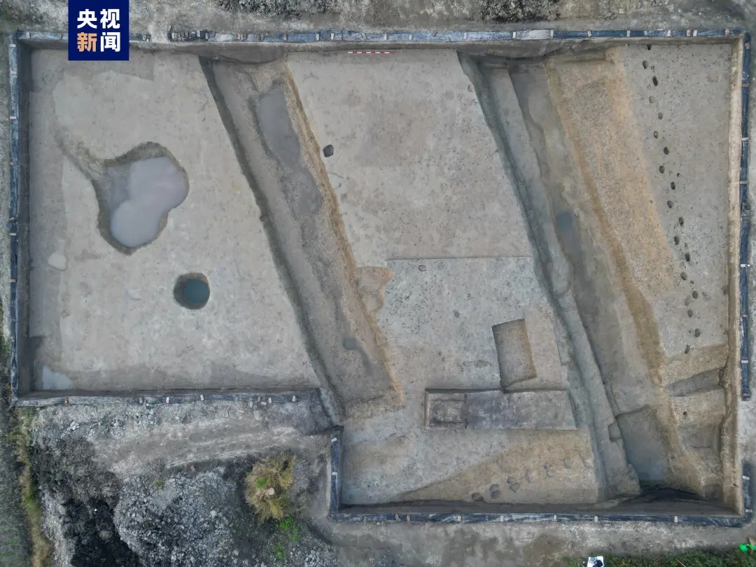 浙江一地,重大发现! 浙江一地,重大发现!