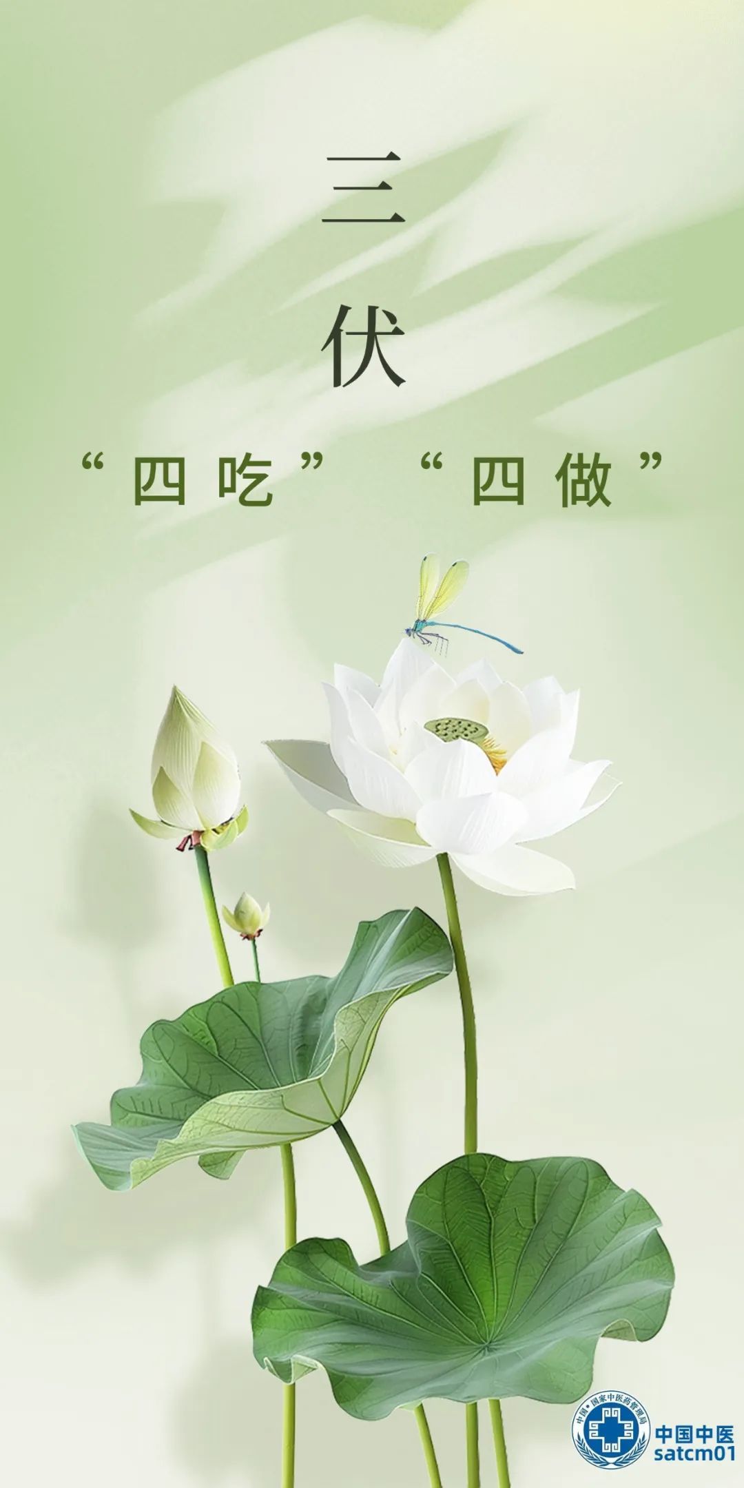 三伏将至,牢记“四吃” “四做”! 三伏将至,牢记“四吃” “四做”!