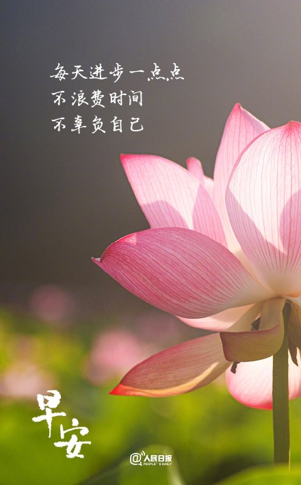 每天进步一点点,成长就会在不经意间发生 每天进步一点点,成长就会在不经意间发生