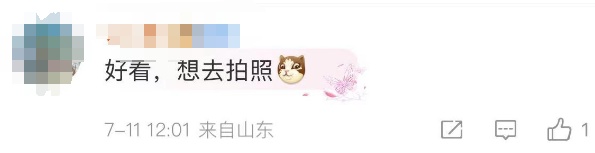 这一幕奇观冲上热搜!上亿只蝴蝶齐飞,真的不是特效... 这一幕奇观冲上热搜!上亿只蝴蝶齐飞,真的不是特效...