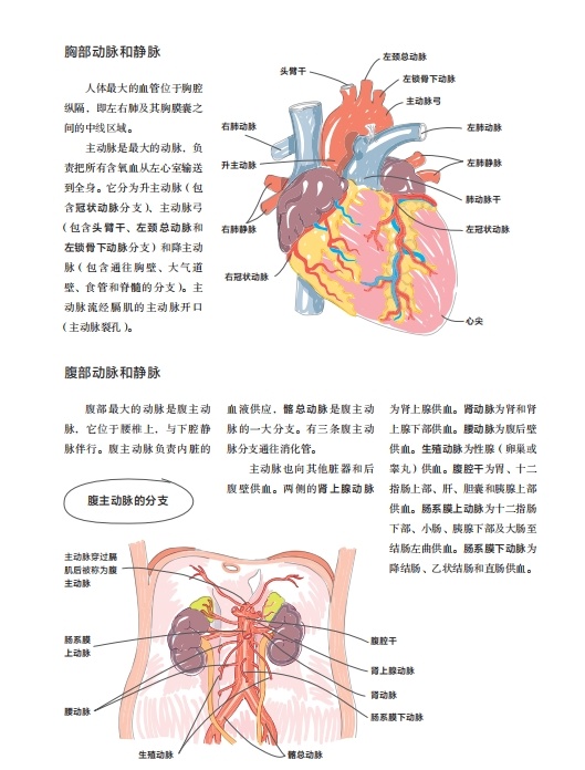 蝌学荐书 | 如果你也为理科学习所困扰，这套帮助数百万人的图解学科系列一定要看！