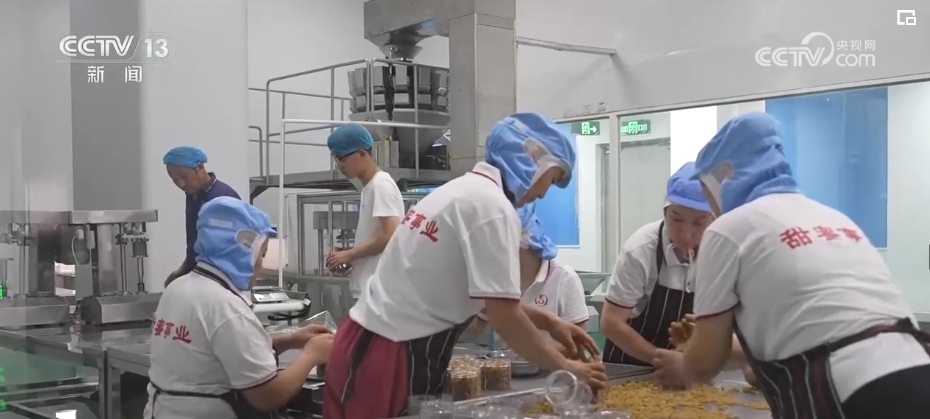 一座城千条巷 历史文化遗产“串珠成链”小城展“新颜”