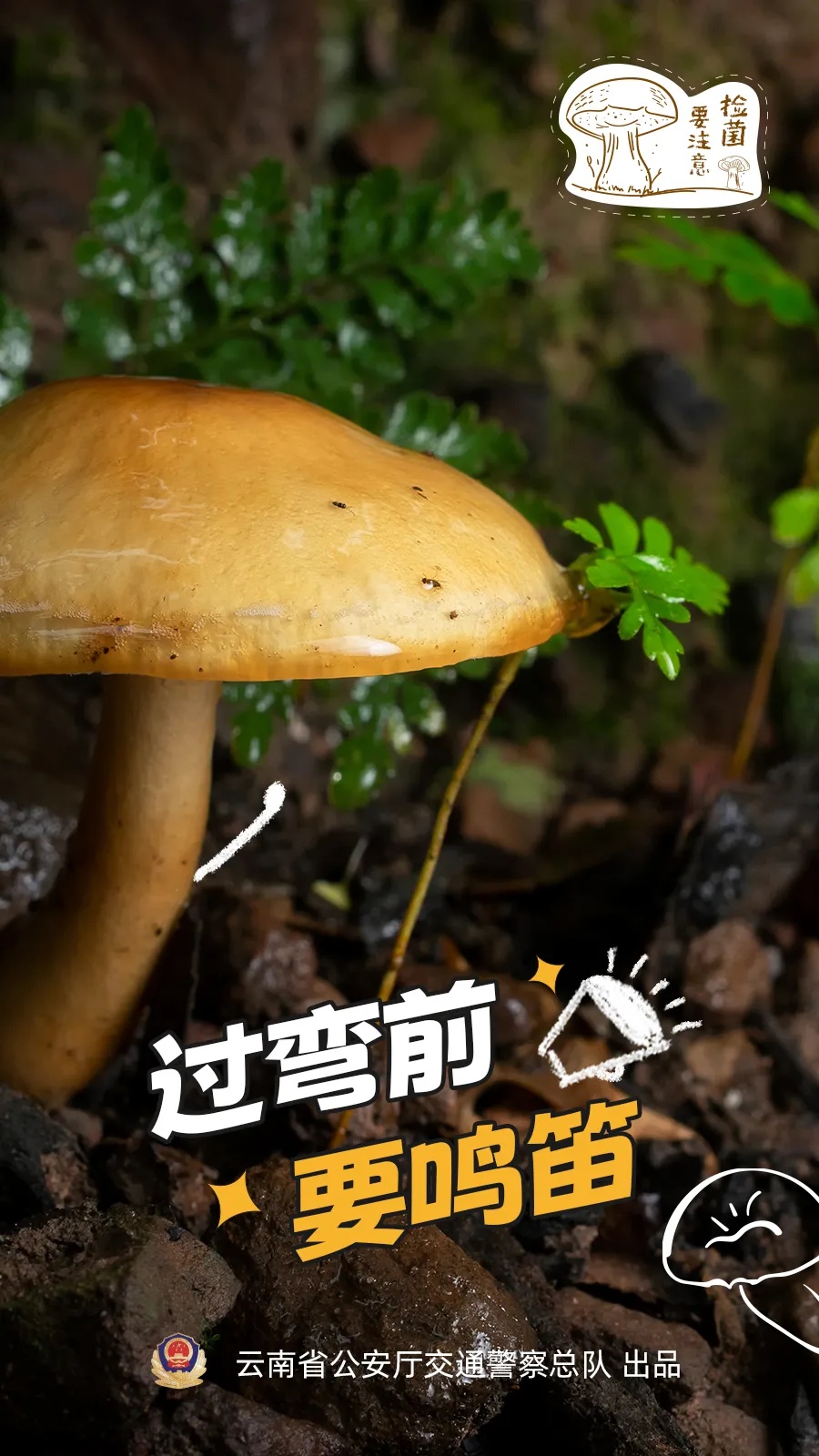 “菌驾”违法吗?解答来了→ “菌驾”违法吗?解答来了→