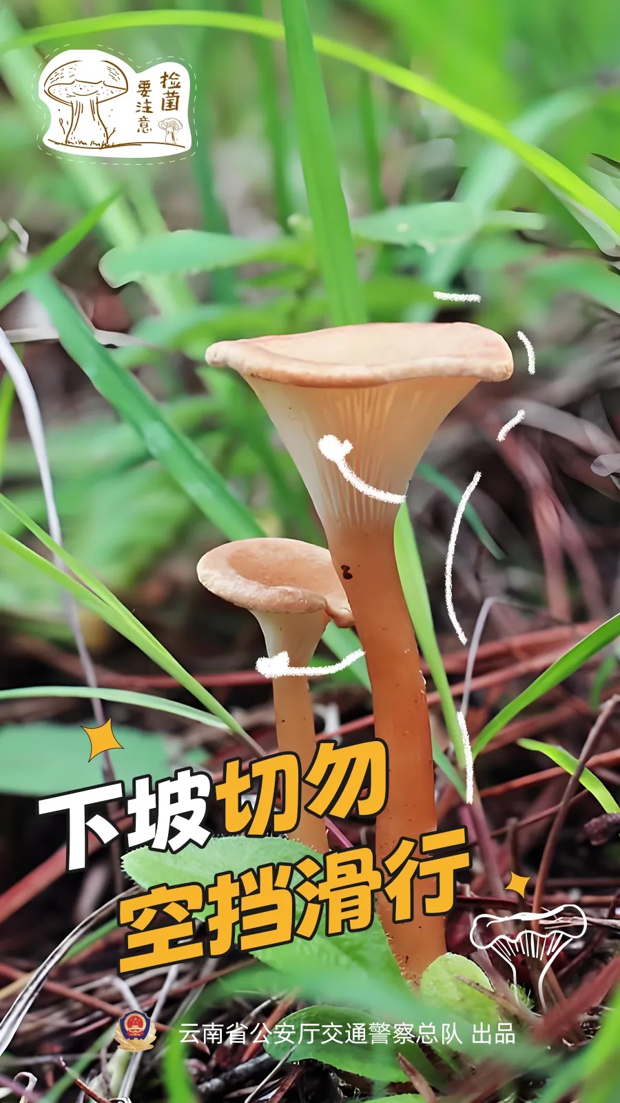 “菌驾”违法吗?解答来了→ “菌驾”违法吗?解答来了→