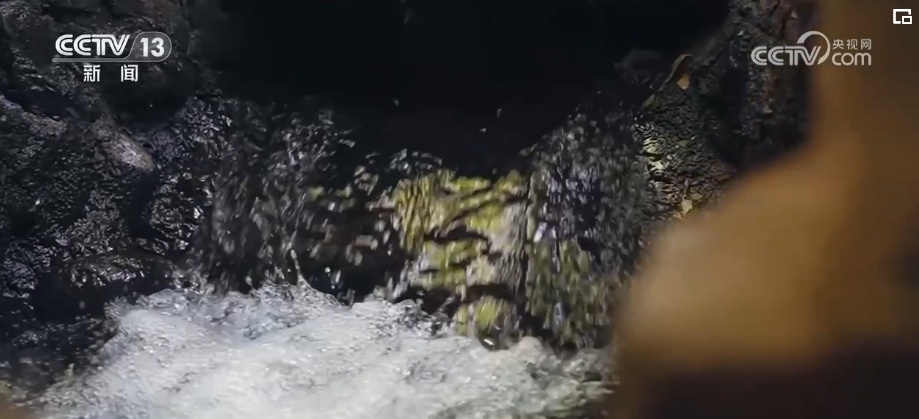 一座城千条巷 历史文化遗产“串珠成链”小城展“新颜”