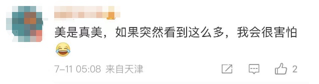 这一幕奇观冲上热搜!上亿只蝴蝶齐飞,真的不是特效... 这一幕奇观冲上热搜!上亿只蝴蝶齐飞,真的不是特效...