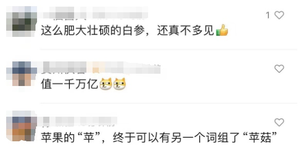 梅雨不断,苹果里长出了蘑菇?有人求购后尝了一口... 梅雨不断,苹果里长出了蘑菇?有人求购后尝了一口...