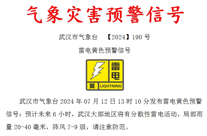 武汉：暴雨雷电+9级大风！下班早点回家