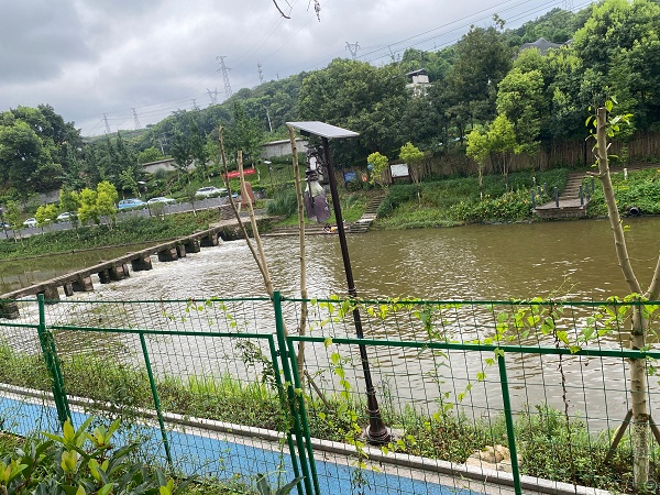 重庆13区县遇大暴雨，29条河流水位超警