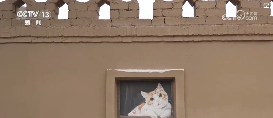 一座城千条巷 历史文化遗产“串珠成链”小城展“新颜”