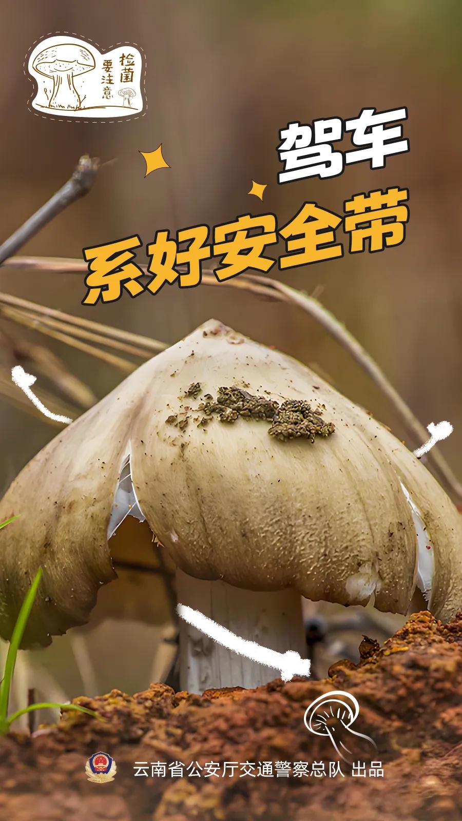 “菌驾”违法吗?解答来了→ “菌驾”违法吗?解答来了→