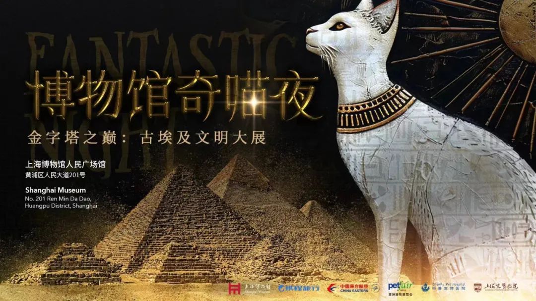博物馆奇“喵”夜7月19日启售，参加的猫咪有何条件？如何观展？可以带狗吗？