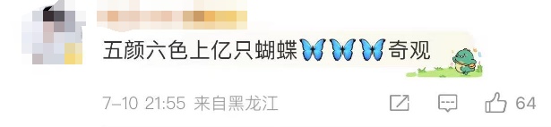 这一幕奇观冲上热搜!上亿只蝴蝶齐飞,真的不是特效... 这一幕奇观冲上热搜!上亿只蝴蝶齐飞,真的不是特效...