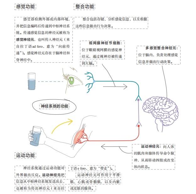 蝌学荐书 | 如果你也为理科学习所困扰，这套帮助数百万人的图解学科系列一定要看！
