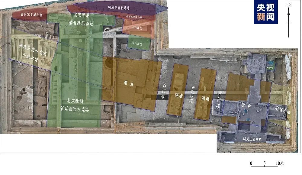 浙江一地,重大发现! 浙江一地,重大发现!