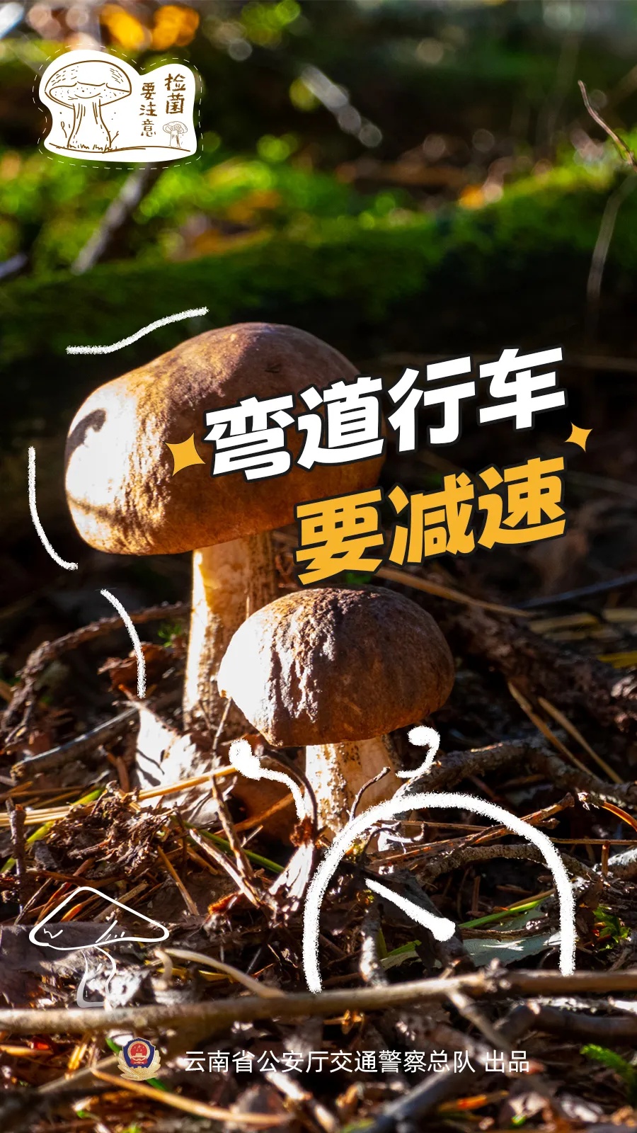 “菌驾”违法吗?解答来了→ “菌驾”违法吗?解答来了→