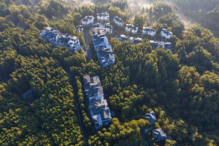石柱黄水何以“上天”？石柱黄水国家级旅游度假区的创建之路