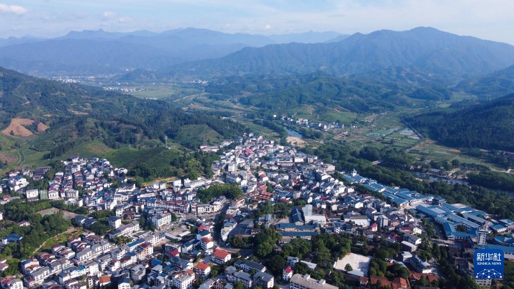 文化中国行丨福建武夷山：老茶镇里的新茶事