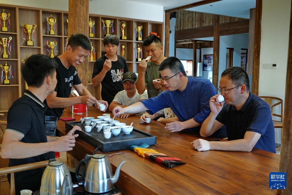 文化中国行丨福建武夷山：老茶镇里的新茶事