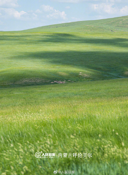 去大草原做一场夏日的梦！收好暑期“草原游地图”