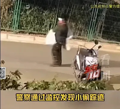 上海一别墅绿化带惊现爱马仕等名牌包！养护工捡走5个随手放宿舍