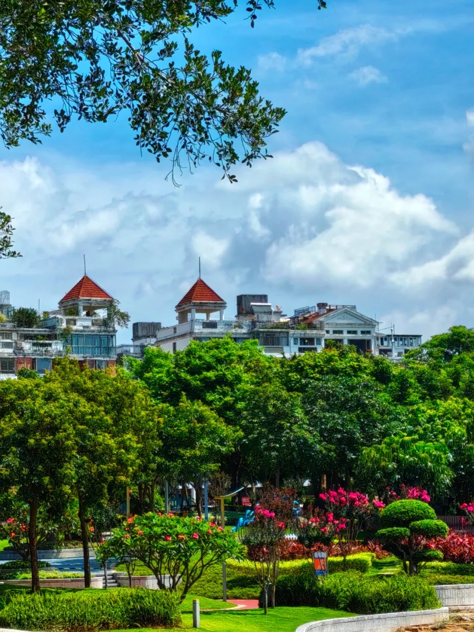 速看！台风胚胎正在发育！接下来厦门天气将……