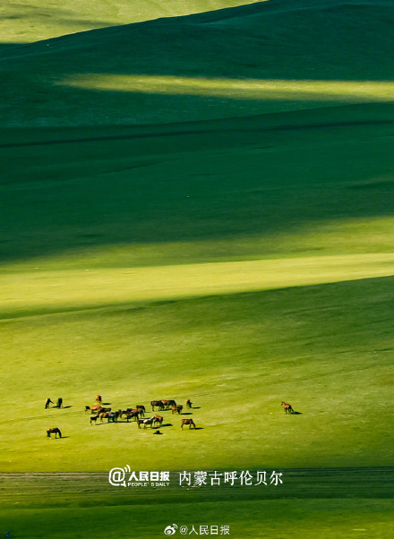 去大草原做一场夏日的梦！收好暑期“草原游地图”