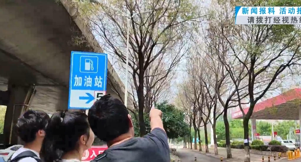 武汉这条路出现大量吊丝的虫!原来是它在作怪……专家提醒 武汉这条路出现大量吊丝的虫!原来是它在作怪……专家提醒