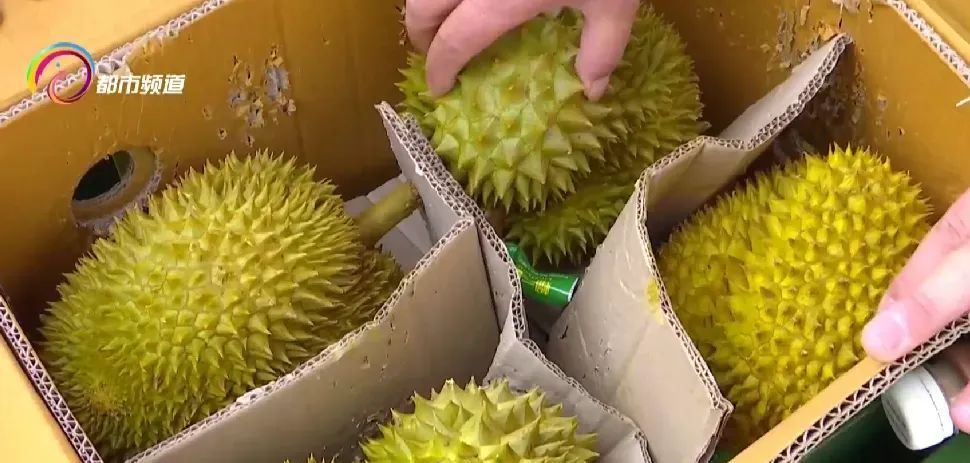 昆明地铁能带榴莲吗？回复来了