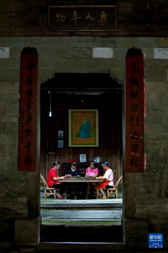 文化中国行丨福建武夷山：老茶镇里的新茶事