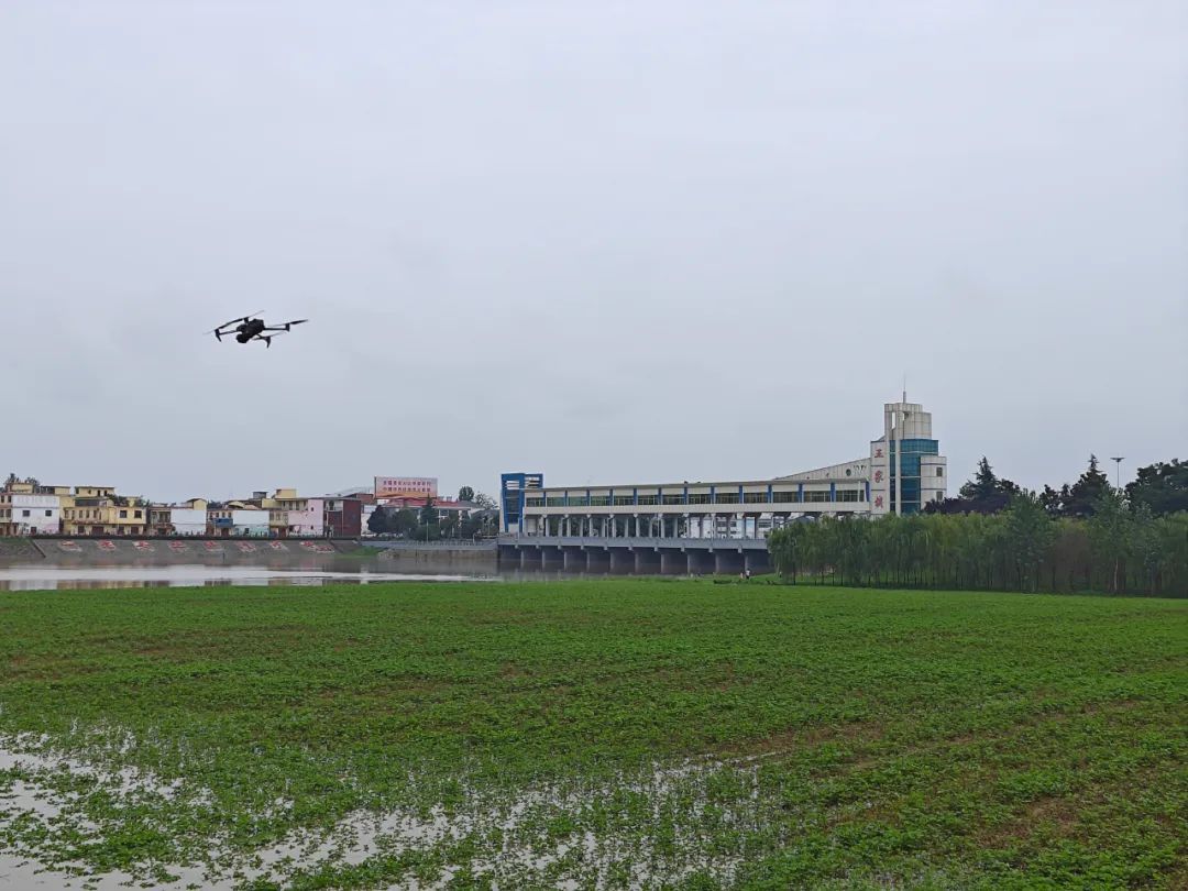 刚刚，王家坝超警戒水位！淮河形成2024年第1号洪水