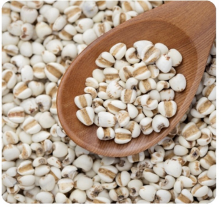 薏米:吃法不对,越吃越“湿” 薏米:吃法不对,越吃越“湿”