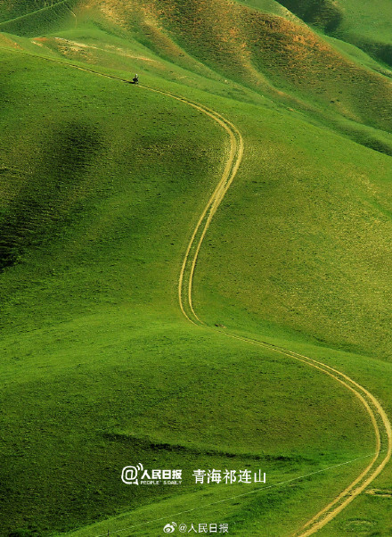 去大草原做一场夏日的梦！收好暑期“草原游地图”