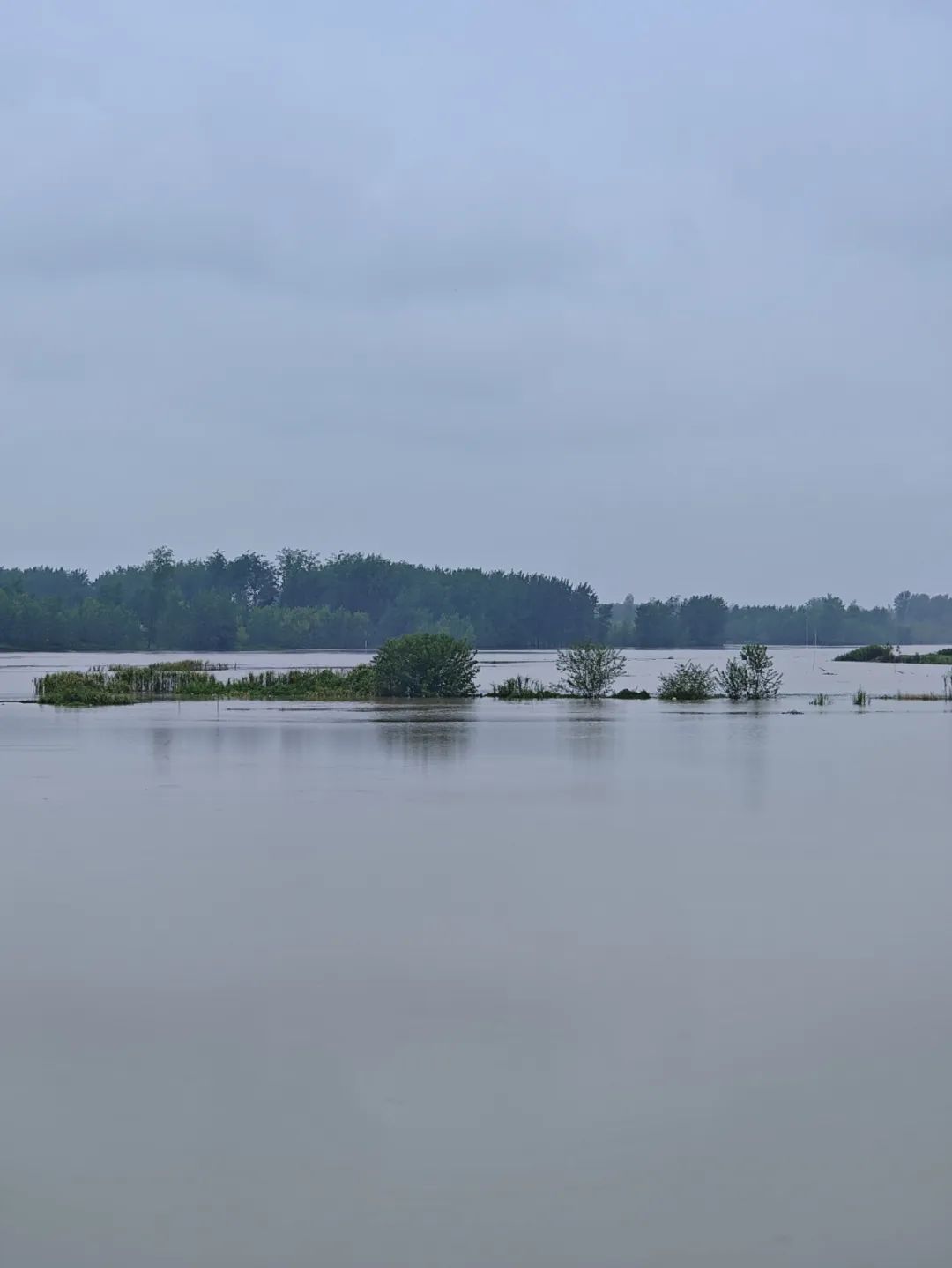 刚刚，王家坝超警戒水位！淮河形成2024年第1号洪水