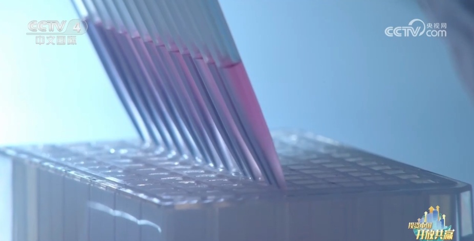 国家级开放平台打造产业集聚新高地 为中国经济高质量发展注入不竭动力 国家级开放平台打造产业集聚新高地 为中国经济高质量发展注入不竭动力